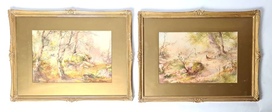 Watercolours by Charles Baldwyn