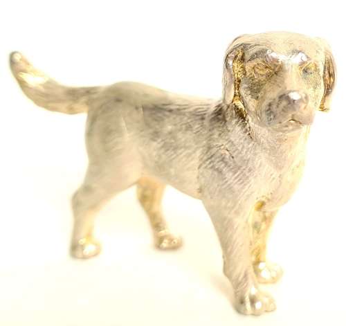Silver Labrador