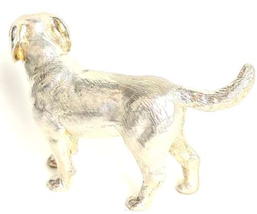 Silver Labrador