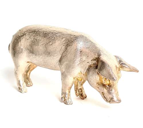 Silver Pig