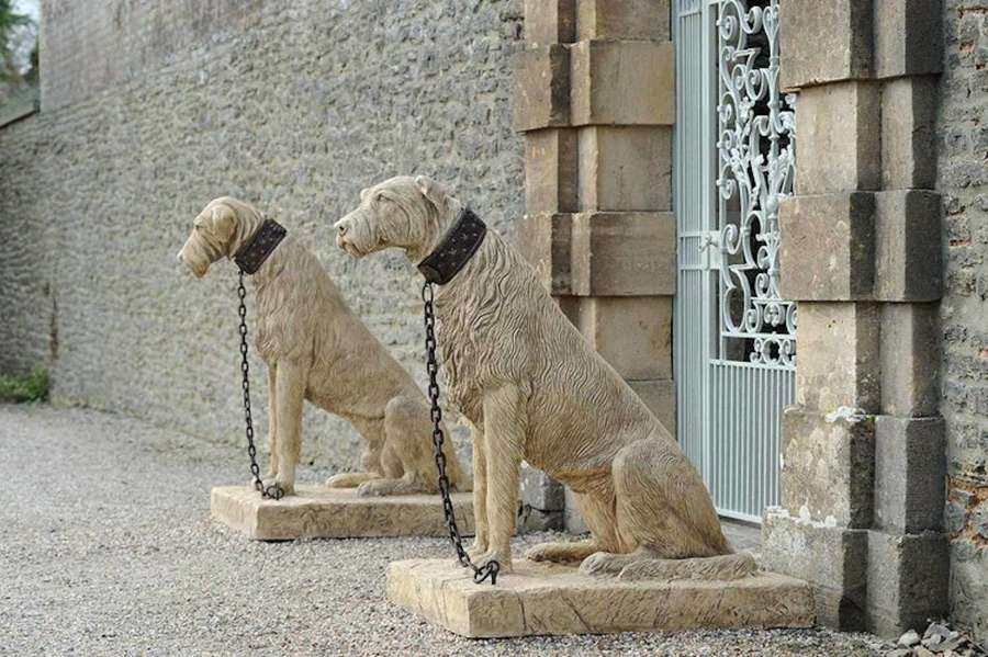 Irish Wolfhounds