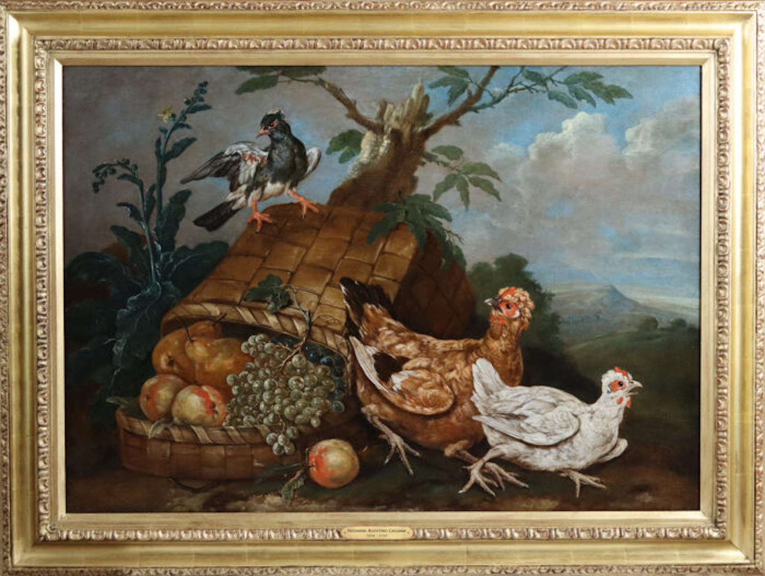 Birds with an Upturned Basket of Fruit ~ Giovanni Agostino Cassana