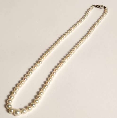 Cultured Pearl Necklace