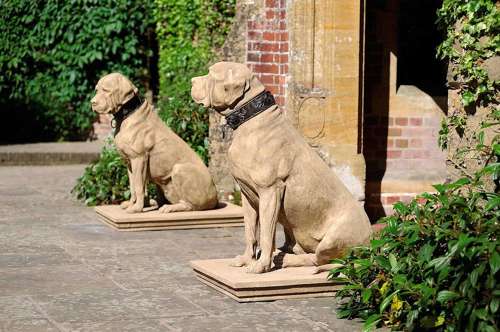 Mastiffs