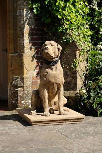 Mastiffs