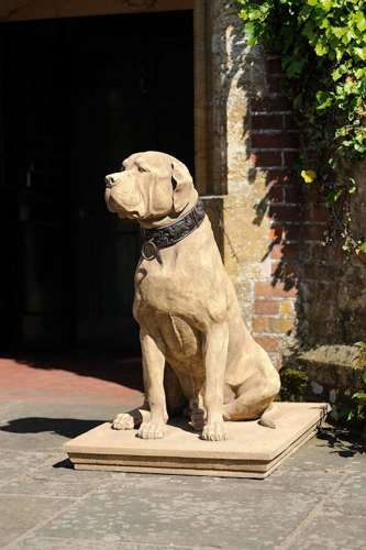 Mastiffs