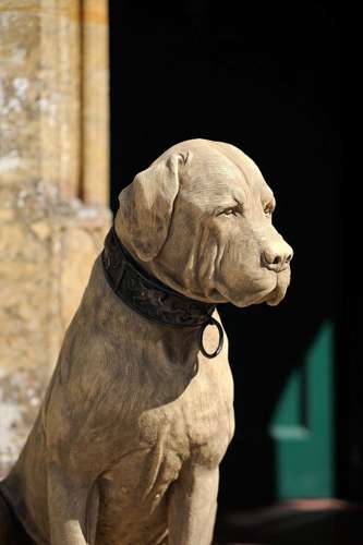 Mastiffs