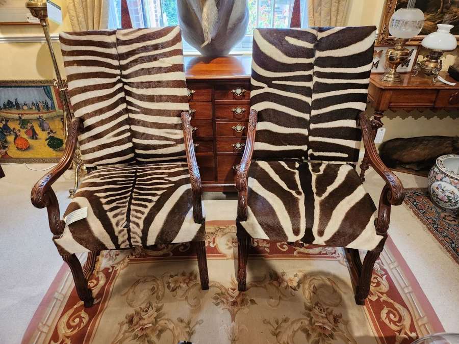 Pair of French Walnut Chairs in Zebra
