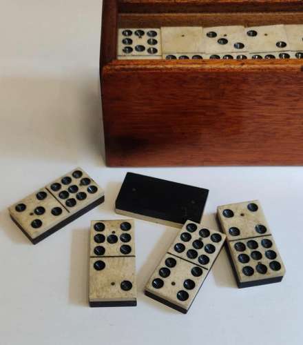 55 Piece Domino Set
